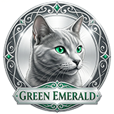 green emerald cattery h160